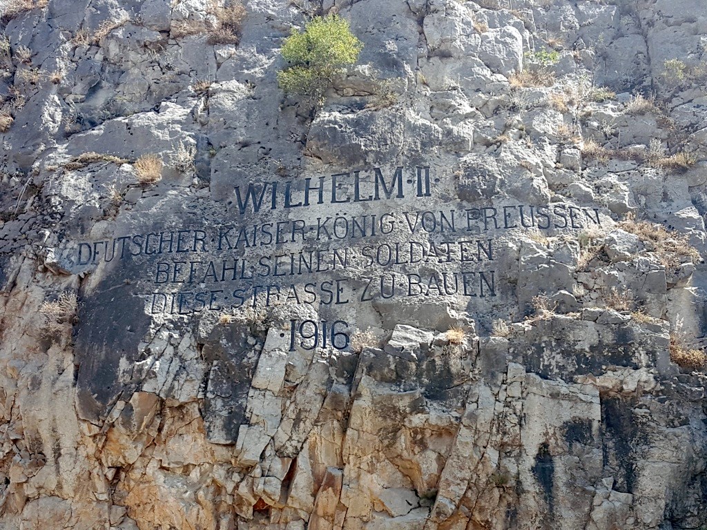 ol239