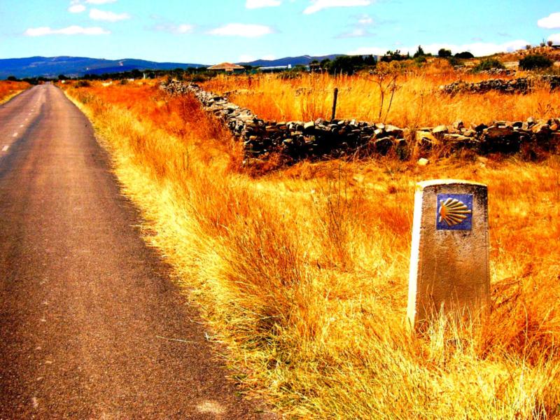 Reliegos – Sahagún